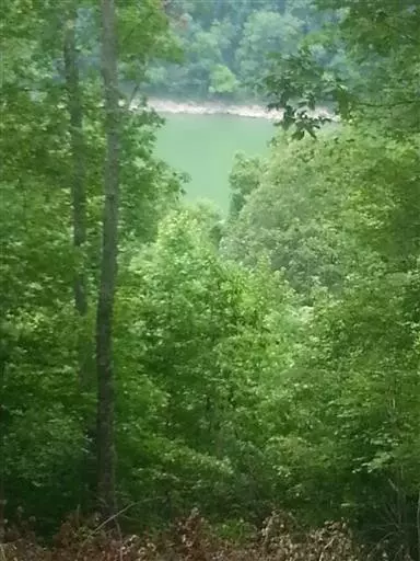 14 Bridge Pointe Rd, Sparta, TN 38583
