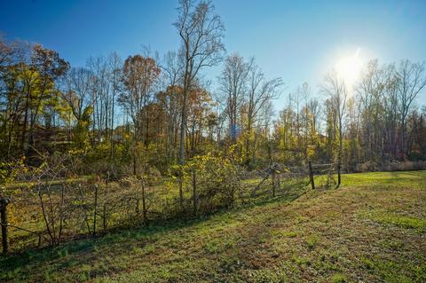 137 Busby Rd, Loretto, TN 38469 photo 15
