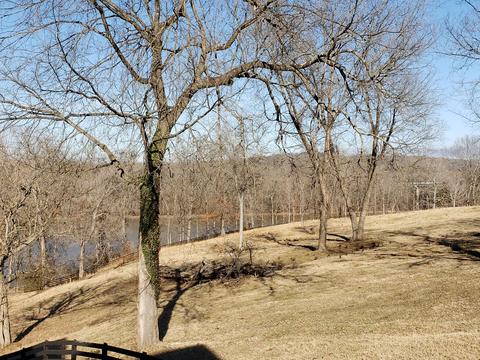 118 Rose Dr, Dover, TN 37058 photo 31