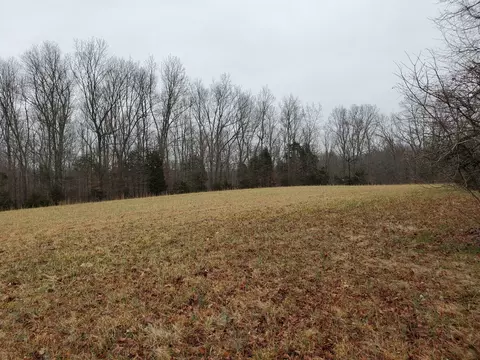 4531 Akin Rd, Cunningham, TN 37052 photo 7