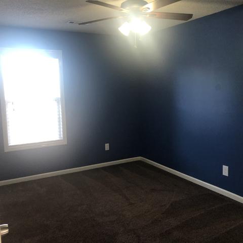 309 Chestnut Ter, Spring Hill, TN 37174 photo 22