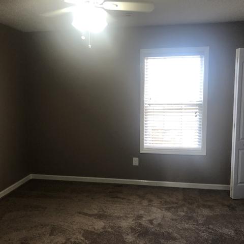 309 Chestnut Ter, Spring Hill, TN 37174 photo 34