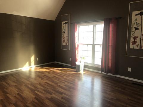 309 Chestnut Ter, Spring Hill, TN 37174 photo 6