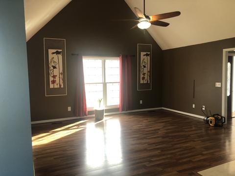 309 Chestnut Ter, Spring Hill, TN 37174 photo 7