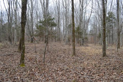 291 Baker Rd, Dickson, TN 37055 photo 7