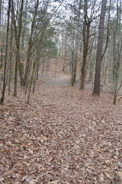 291 Baker Rd, Dickson, TN 37055 photo 5