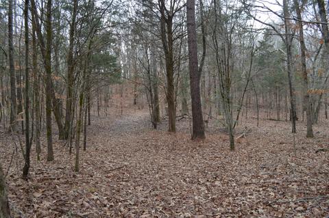 291 Baker Rd, Dickson, TN 37055 photo 4