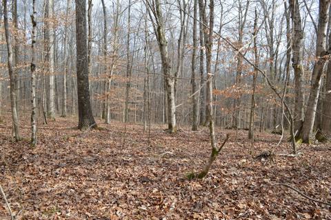 291 Baker Rd, Dickson, TN 37055 photo 8