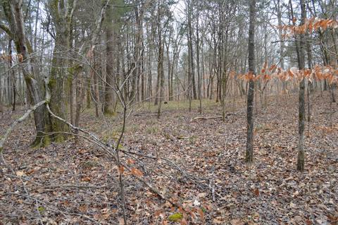 291 Baker Rd, Dickson, TN 37055 photo 6