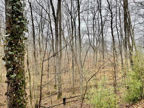 119 Beech St, Dover, TN 37058 photo 24