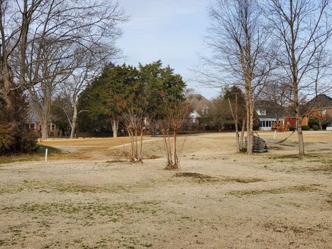 2919 War Paint Ct, Murfreesboro, TN 37127 photo 45