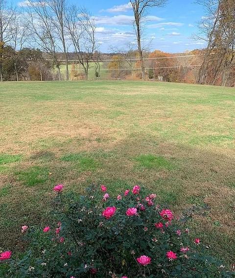 3685 S Hyde Rd, Springfield, TN 37172 photo 5
