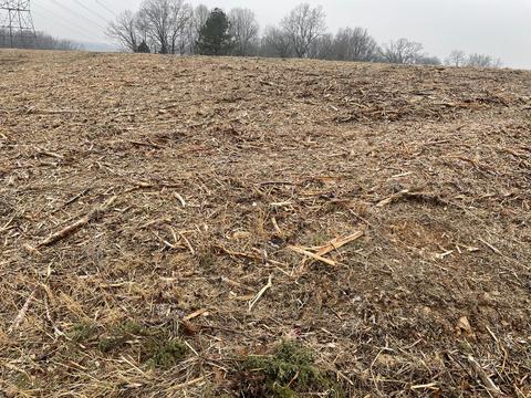 3762 Black Rd, Springfield, TN 37172 photo 7