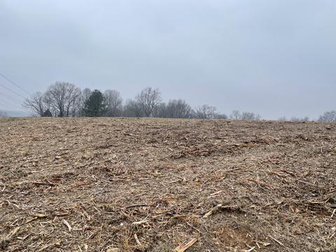 3762 Black Rd, Springfield, TN 37172 photo 8
