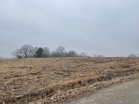 3762 Black Rd, Springfield, TN 37172 photo 10