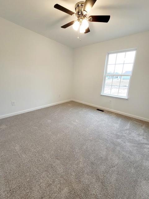 85 Diane Loop, White Bluff, TN 37187 photo 12