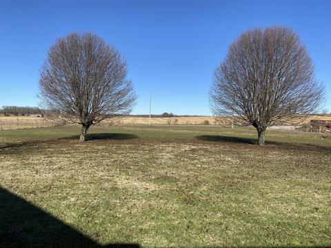 123 Staggs Rd, Ethridge, TN 38456 photo 19