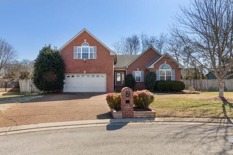 2999 Barnstable Ct, Murfreesboro, TN 37127 photo 22