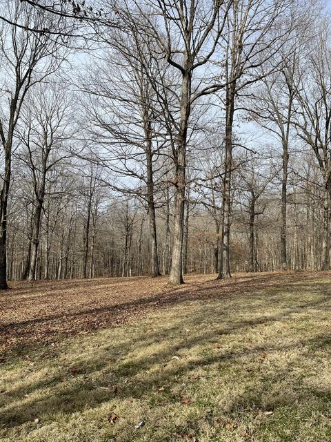 2911 Highway 70 E, Dickson, TN 37055 photo 3