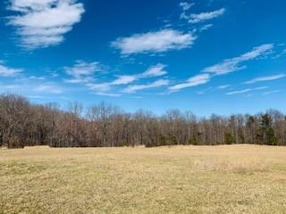 607 Open Range Rd, Spencer, TN 38585 photo 2