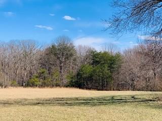 607 Open Range Rd, Spencer, TN 38585 photo 4