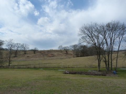 141 Tom Walker Dr, Beechgrove, TN 37018 photo 33