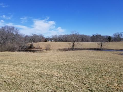 3601 Highway 100, Centerville, TN 37033 photo 12