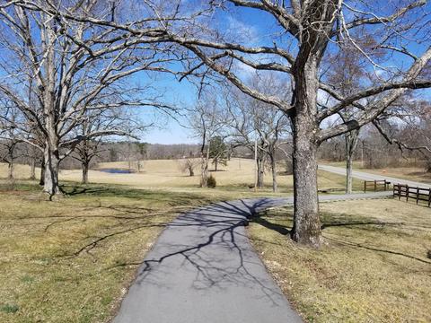 3601 Highway 100, Centerville, TN 37033 photo 1