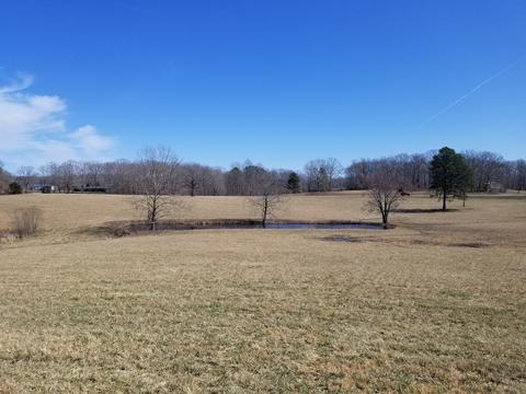 3601 Highway 100, Centerville, TN 37033 photo 14