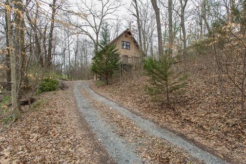 7212 Sutton Pl, Fairview, TN 37062 photo 6