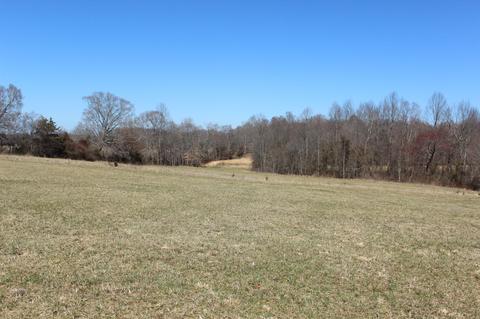 739 Hatcher Rd, Moss, TN 38575 photo 5