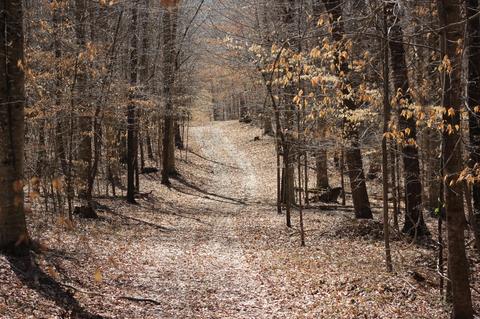 739 Hatcher Rd, Moss, TN 38575 photo 2