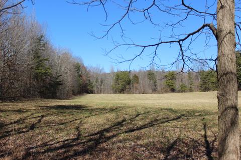 739 Hatcher Rd, Moss, TN 38575 photo 18