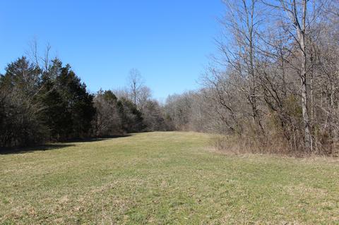 739 Hatcher Rd, Moss, TN 38575 photo 21