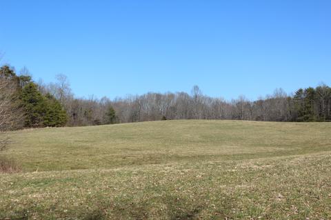 739 Hatcher Rd, Moss, TN 38575 photo 29