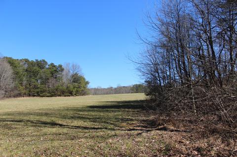 739 Hatcher Rd, Moss, TN 38575 photo 19