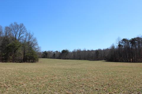 739 Hatcher Rd, Moss, TN 38575 photo 17