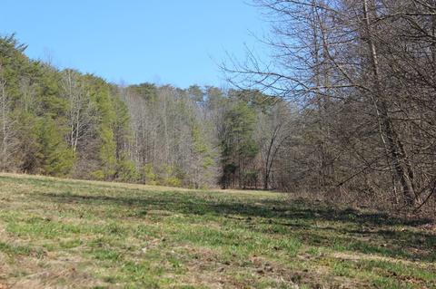 739 Hatcher Rd, Moss, TN 38575 photo 12