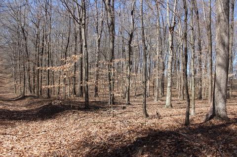 739 Hatcher Rd, Moss, TN 38575 photo 8