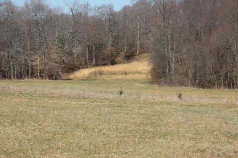 739 Hatcher Rd, Moss, TN 38575 photo 7