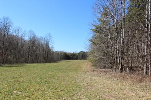 739 Hatcher Rd, Moss, TN 38575 photo 9