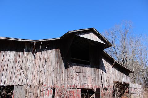 739 Hatcher Rd, Moss, TN 38575 photo 24