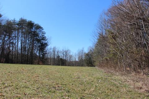 739 Hatcher Rd, Moss, TN 38575 photo 20
