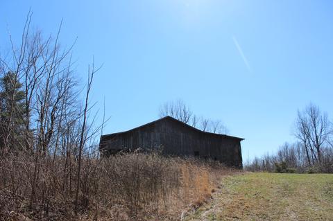 739 Hatcher Rd, Moss, TN 38575 photo 23