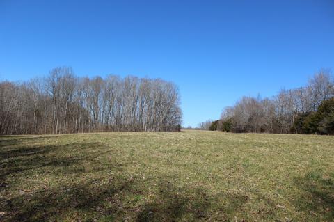 739 Hatcher Rd, Moss, TN 38575 photo 32