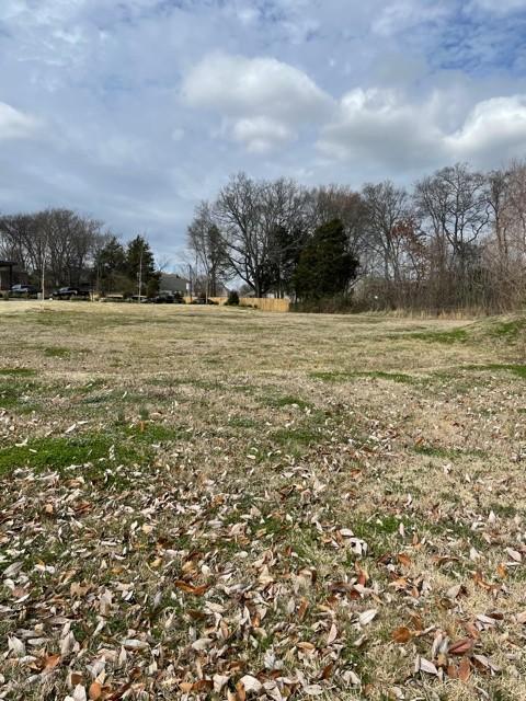 2214 Spedale Ct, Spring Hill, TN 37174 photo 23