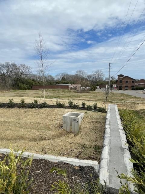 2214 Spedale Ct, Spring Hill, TN 37174 photo 19