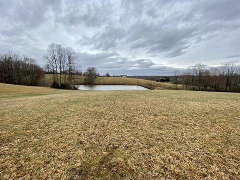 601 Womack Rd, Bethpage, TN 37022 photo 27