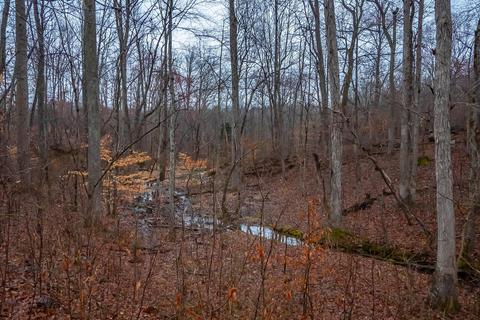 129 Iron Gate Ln, Dickson, TN 37055 photo 23