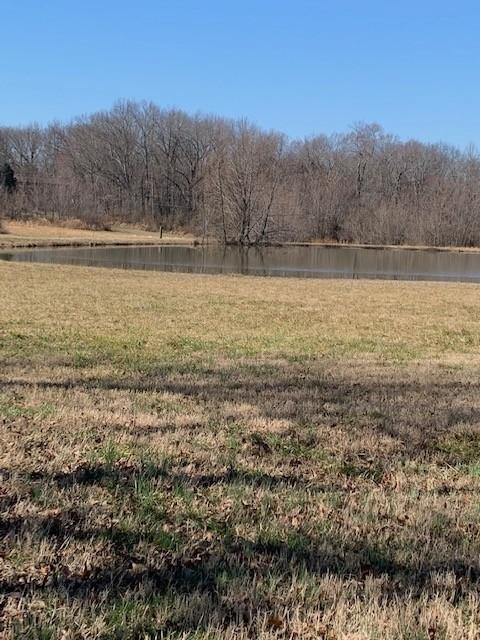 4184 Oregon Rd, Springfield, TN 37172 photo 3